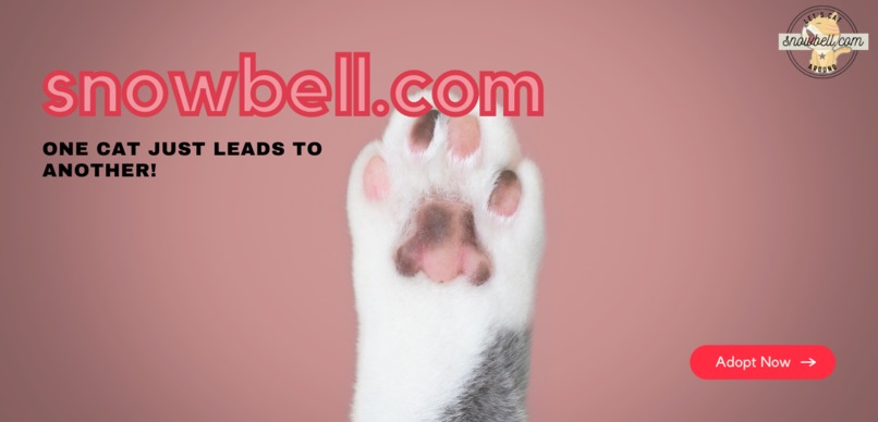 Snowbell.com – screenshot 3