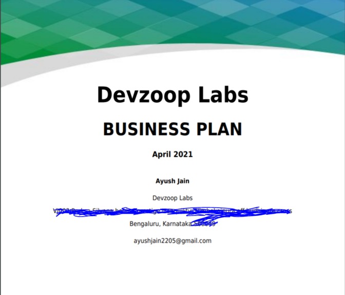 Business Plan – screenshot 1