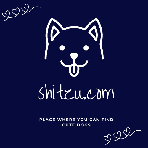 shitzu.com - Brand Concept – screenshot 1