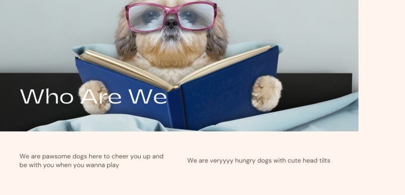 shitzu.com - Brand Concept – screenshot 3