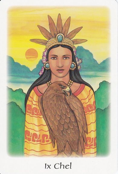 IxNet – screenshot 1