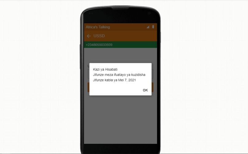 Team Phoenix - EduAfrica – screenshot 7