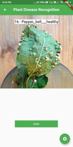 Agrotis – screenshot 5