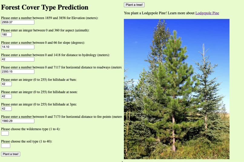 Forest Cover Type Prediction – screenshot 1
