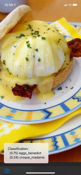 Reverse Food Image Search – screenshot 1