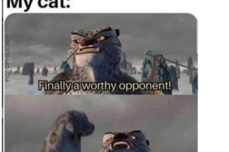 CNN model laughs at a meme