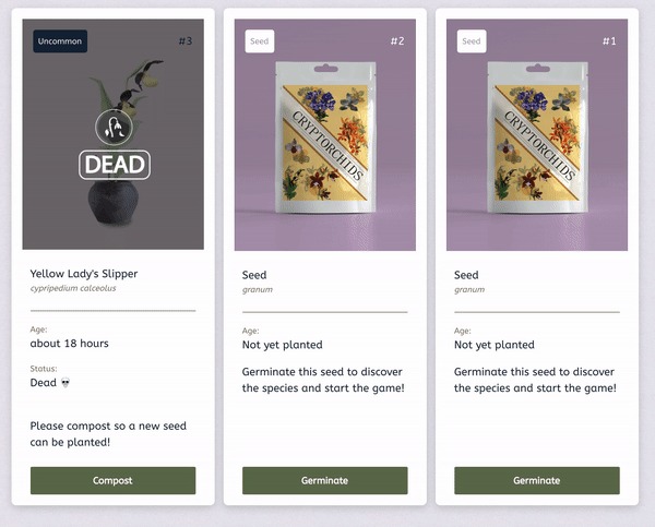 CryptOrchids – screenshot 3