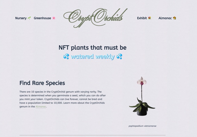 CryptOrchids – screenshot 1