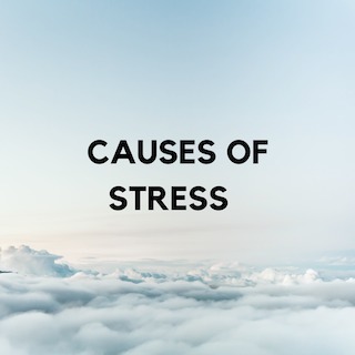 Mental Health Demystified – screenshot 10