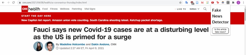 Fake News Detector – screenshot 2