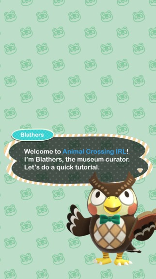 Animal Crossing IRL – screenshot 1