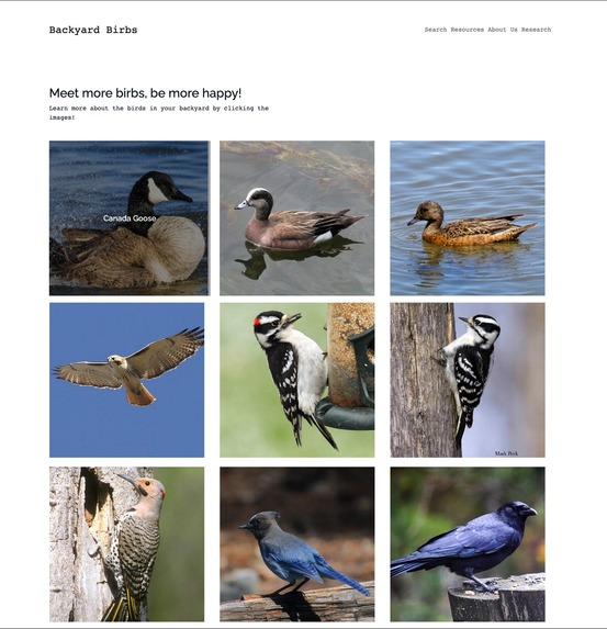 Backyard Birbing – screenshot 2