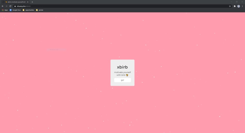 xbirb – screenshot 1