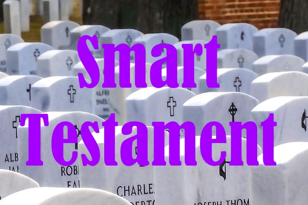 Smart Testament – screenshot 1