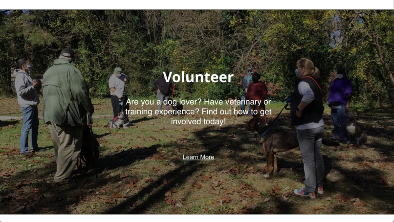 Vets to Vets United - Making Connections – screenshot 6