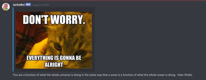 JackieBot – screenshot 2