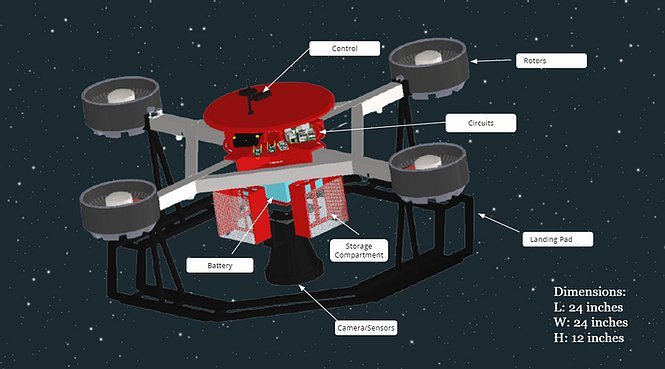 Alpha Wolf – screenshot 1