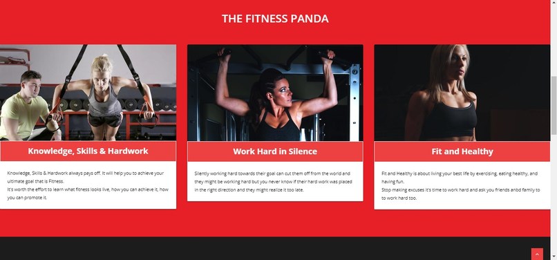 The Fitness Panda – screenshot 3