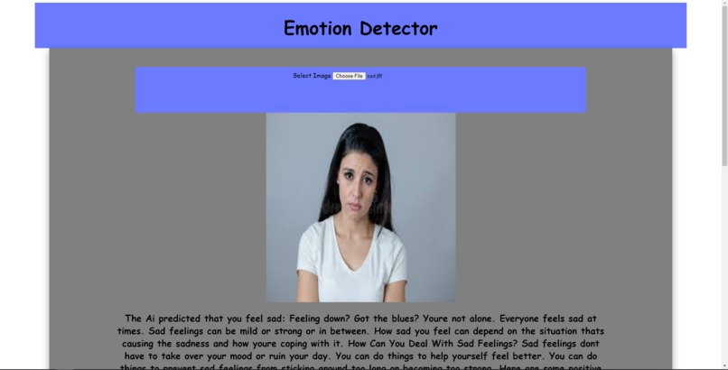 AI Powered Emotion Detection and Mental Health Advice – screenshot 3