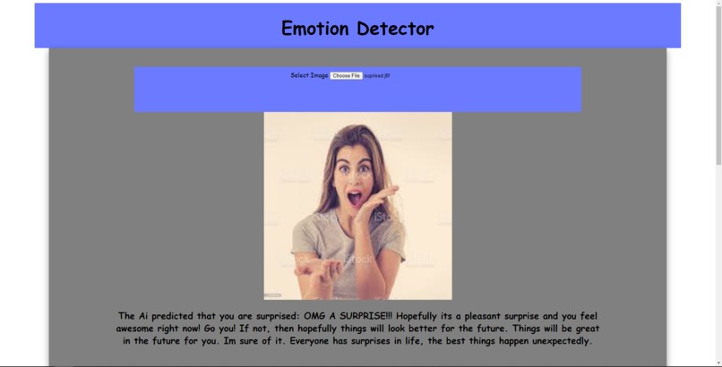 AI Powered Emotion Detection and Mental Health Advice – screenshot 4