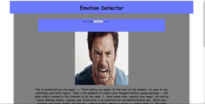 AI Powered Emotion Detection and Mental Health Advice – screenshot 5