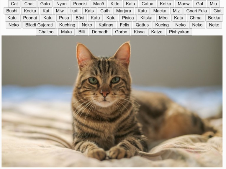 CatHacks S2021 : : [ The Cat Chat ] – screenshot 1