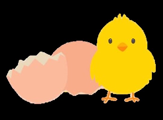 NJII Codeathon S2019 : : [ Baby On Board ] – screenshot 8