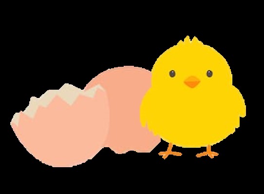 NJII Codeathon S2019 : : [ Baby On Board ] – screenshot 9