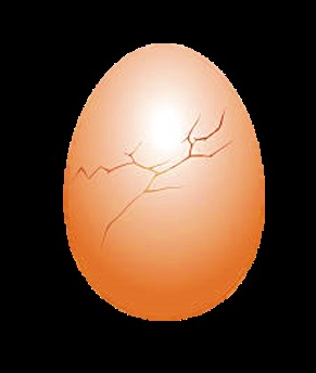 NJII Codeathon S2019 : : [ Baby On Board ] – screenshot 5