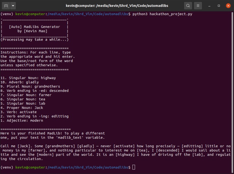 Auto MadLibs Generator – screenshot 2