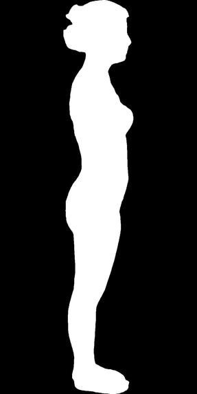 DIP, Automated Digital Image Body Composition Analysis  – screenshot 1