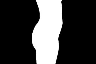 DIP, Automated Digital Image Body Composition Analysis 