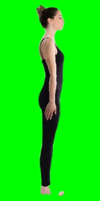 DIP, Automated Digital Image Body Composition Analysis  – screenshot 2