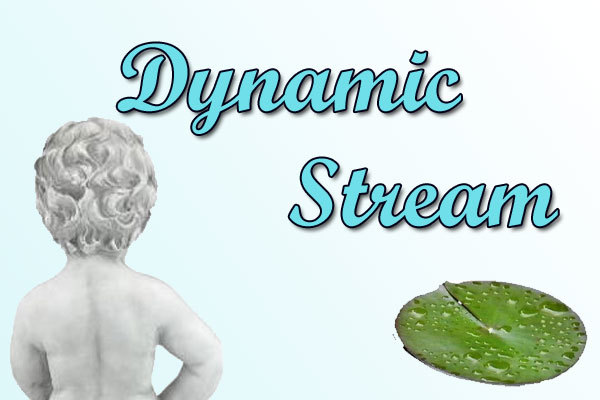 Dynamic Stream – screenshot 1