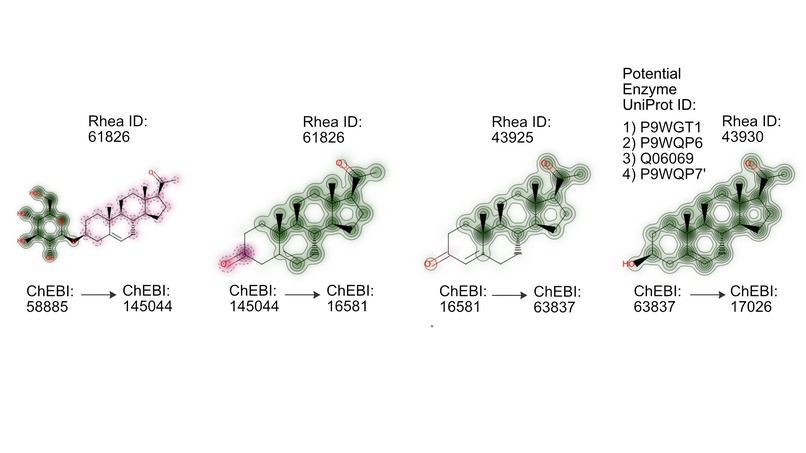 react2drug: Biological Production of Drugs in Short Supply – screenshot 4