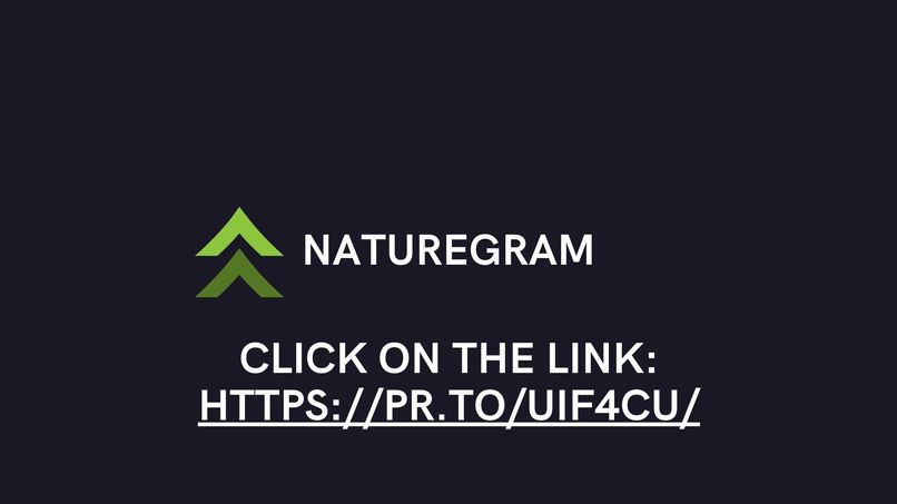 NatureGram - Team Islander – screenshot 26