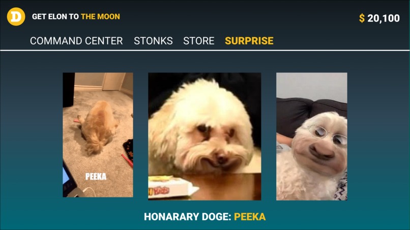 Dogelon Much – screenshot 3