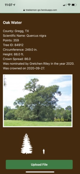 Treekemon GO! – screenshot 3