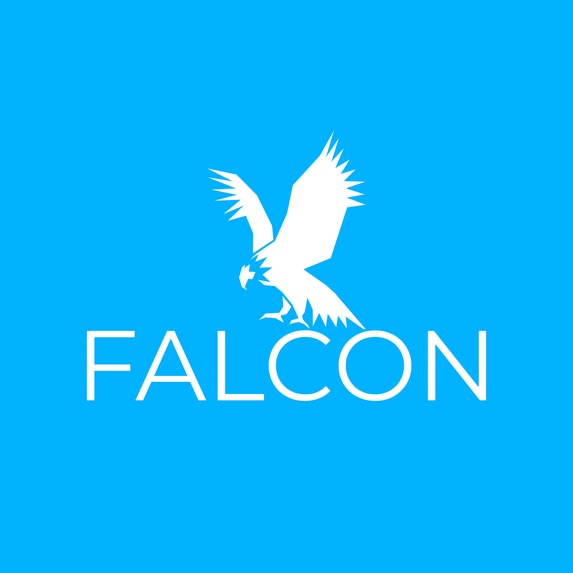 Falcon – screenshot 1