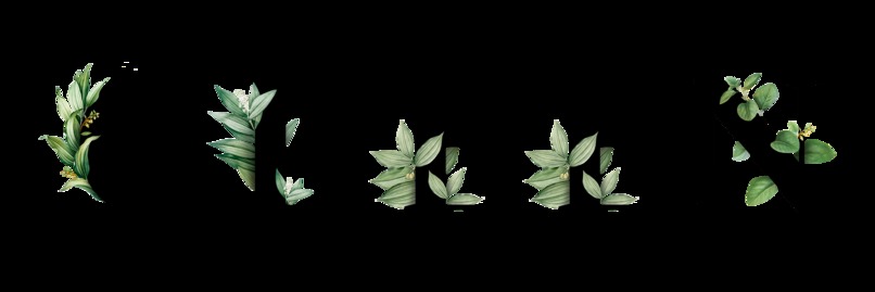 Adopt Green Tech – screenshot 1