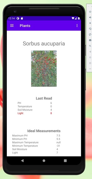 The Green Ladybug – screenshot 1