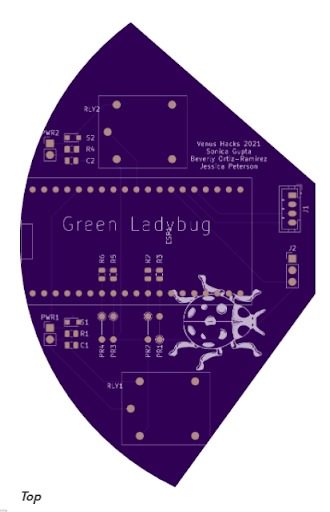 The Green Ladybug – screenshot 4