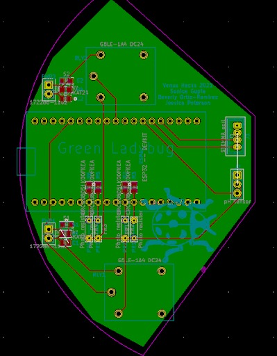 The Green Ladybug – screenshot 6