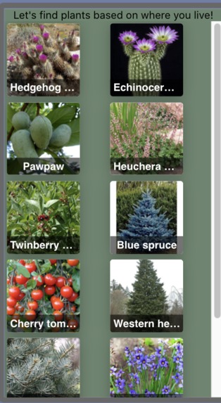 EcoRoots – screenshot 3