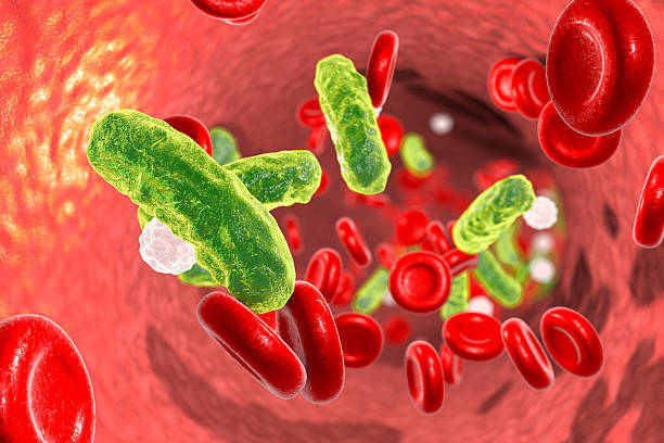 Sepsis Prediction – screenshot 2