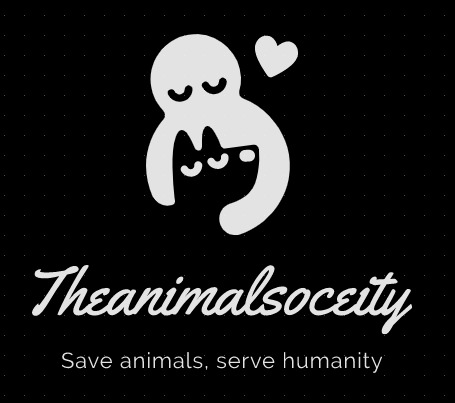 TheAnimalSociety – screenshot 3