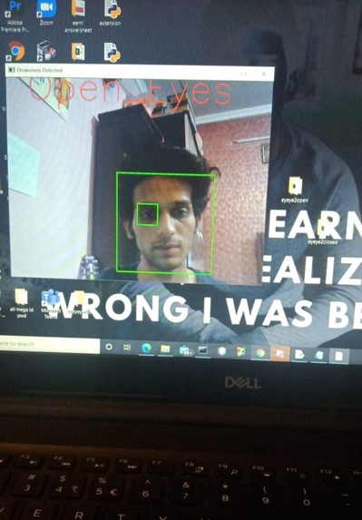 The Distracted Driver – screenshot 1