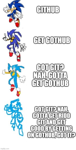 GotHub – screenshot 2