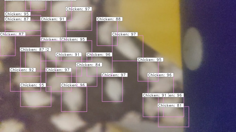 Bird Distribution Mapper 9001 – screenshot 3