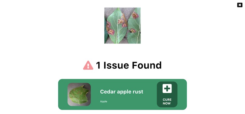 Plant AI – screenshot 2